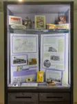 "Display case in Aurora room, showing historical artifacts"